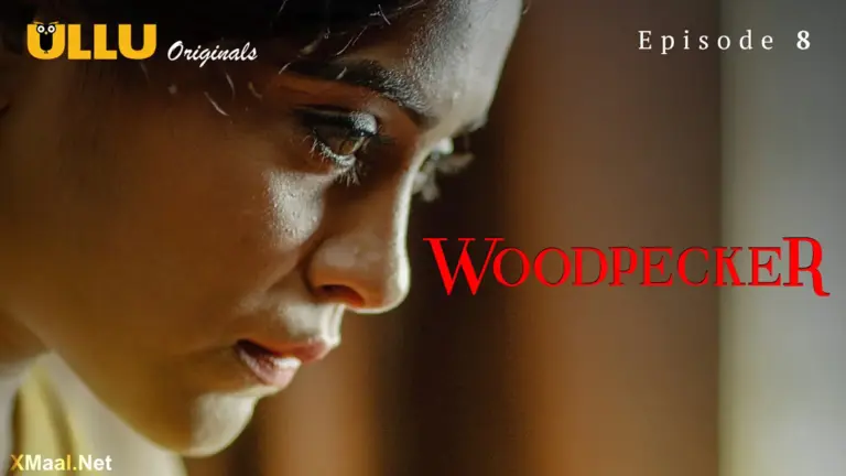Woodpecker Episode 8
